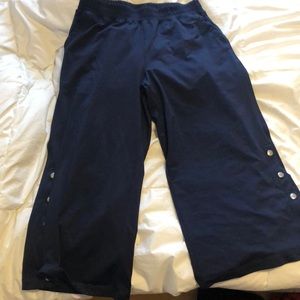 Aerie ankle length sweats